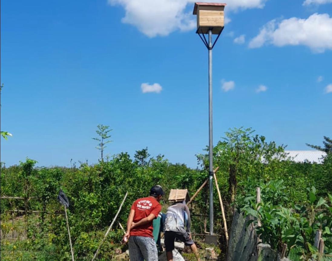 Program-RUBUHA-di-Desa-Sambimulyo:-Upaya-Efektif-Mengatasi-Hama-Tikus