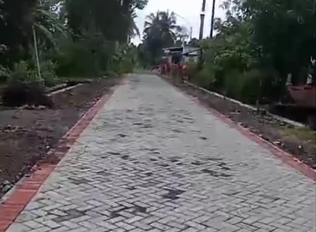 Proyek-Lanjutan-Pavingisasi-Jalan-Batas-Desa-Seneporejo-Sambimulyo-Selesai-Dikerjakan