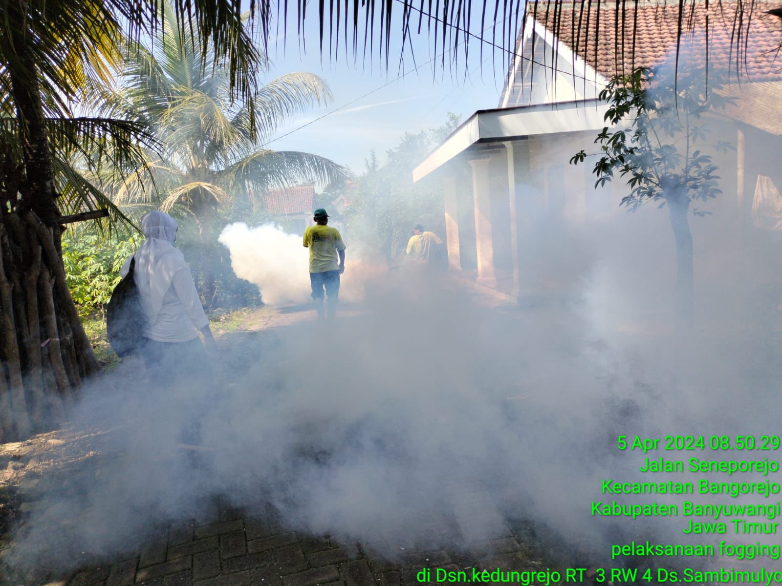 Kegiatan-Fogging-Di-Desa-Sambimulyo