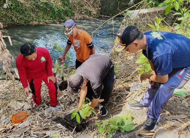 Pemdes-Sambimulyo-Gelar-Kegiatan-Menanam-Bibit-Pohon-Mahoni