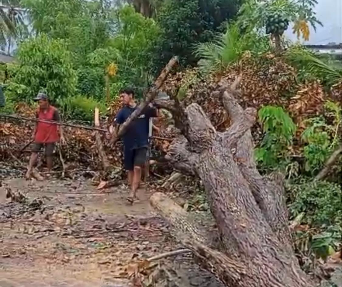 Kepala-Desa-Sambimulyo-Andik-Santoso-Himbau-Warga-Antisipasi-Pohon-Tumbang-di-Musim-Hujan-Angin